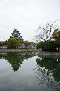 岛四岛植物群花园蓝色城堡天空旅行公园纪念馆反射花瓣图片