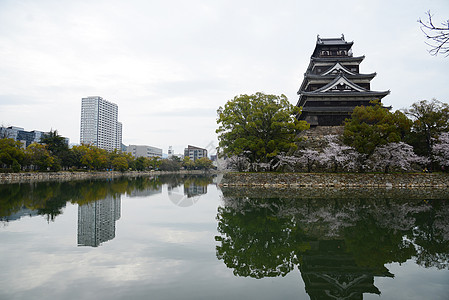 岛四岛反射植物群纪念馆旅行花瓣公园城堡季节天空蓝色图片