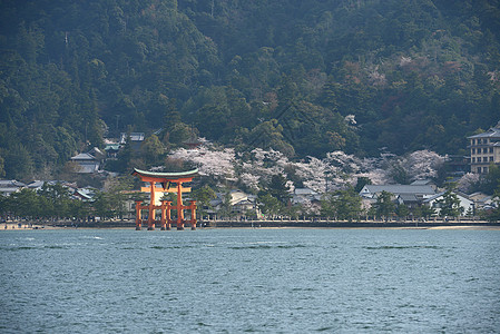 岛神社旅行海岸宗教橙子寺庙樱花世界建筑学神道图片