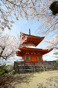 岛遗产建筑学宝塔樱花旅行神道宗教地标旅游寺庙图片