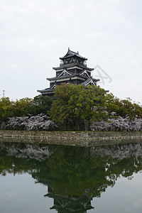 岛四岛花园反射公园天空植物群花瓣旅行蓝色季节城堡图片