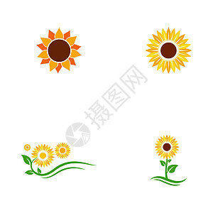 向日葵矢量图标设计生长植物群食物花园圆圈农业艺术植物农场叶子图片