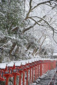 Kifune神庙冬季红色建筑学神社森林地标木头游客旅行旅游宗教图片