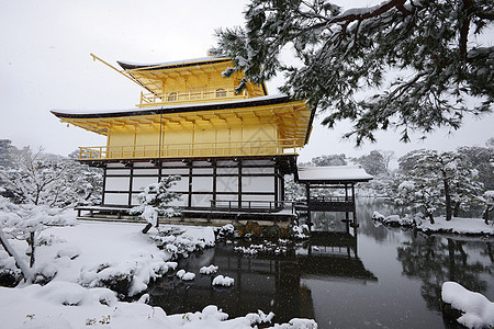 京角寺雪历史金子旅行建筑蓝色寺庙天空地标旅游花园图片