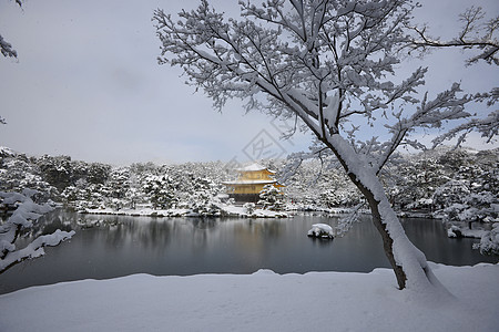 京角寺雪历史公园花园寺庙蓝色建筑天空季节旅游旅行图片