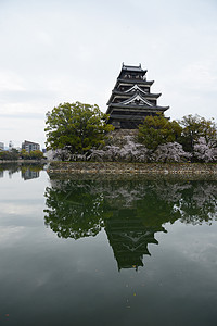 岛四岛蓝色花瓣植物群天空公园季节反射花园纪念馆旅行图片