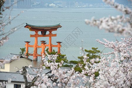 岛建筑学地标世界橙子历史性遗产寺庙宗教旅行神社图片