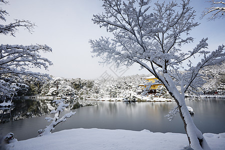京角寺雪寺庙金子历史地标公园天空旅行季节旅游天气图片
