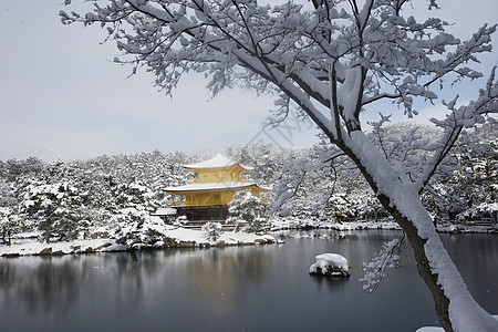 京角寺雪蓝色建筑金子旅游公园旅行历史地标花园寺庙背景图片