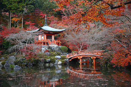 京都寺庙宝塔建筑学文化神社艺术红色花园佛教徒宗教公园图片