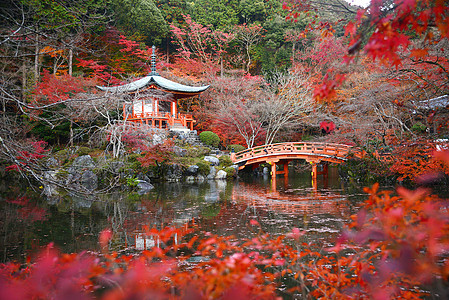 京都寺庙花园艺术佛教徒建筑学红色公园神社宗教文化宝塔图片