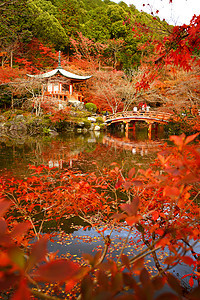 京都寺庙公园佛教徒红色建筑花园文化艺术神社宝塔宗教图片