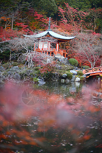 京都寺庙佛教徒花园神社红色艺术建筑公园宝塔宗教建筑学图片