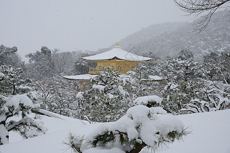 京角寺雪季节公园金子建筑学天空地标寺庙旅游历史旅行图片