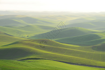 绿山地区农业农村小麦土地农田丘陵风景阳光植物农场图片