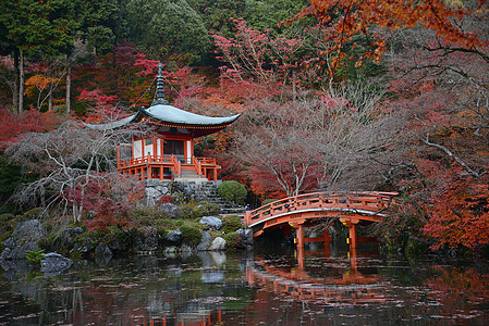 京都寺庙宝塔佛教徒公园花园文化神社建筑红色建筑学宗教图片