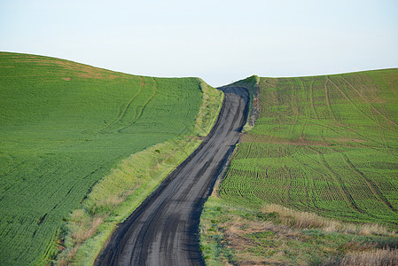 与当地公路连接的Washton农场山大麦植物农场农业爬坡丘陵农田绿色风景场地图片