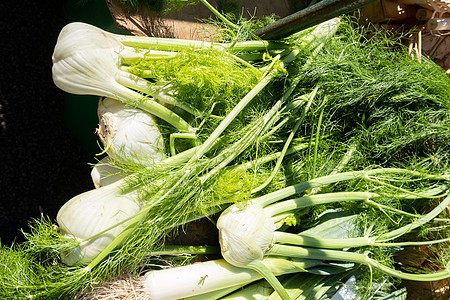 小型农户市场上的有机纤维灯泡沙拉叶子蔬菜饮食农业植物农贸市场收成烹饪八角图片