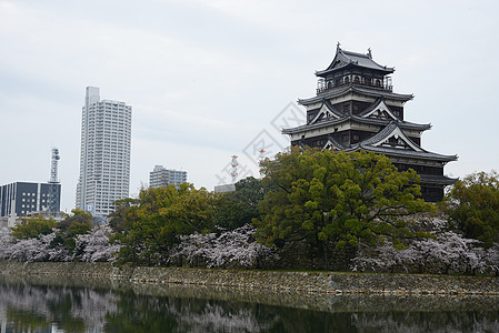 岛四岛天空城堡花园旅行纪念馆植物群反射蓝色公园花瓣图片