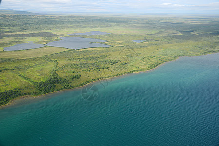 alaska 空中视图公园飞机荒野旅行森林半岛风景绿色图片