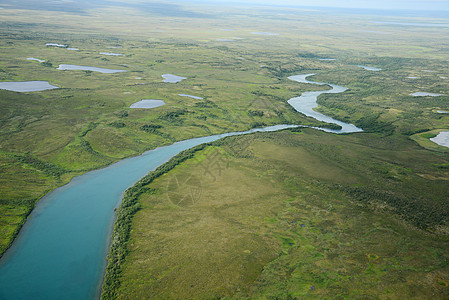 alaska 空中视图森林半岛飞机绿色风景公园荒野旅行图片