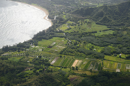 Kauai山直升机天线假期风景海岸旅游热带崎岖绿色旅行图片