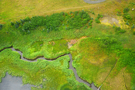 alaska 空中视图公园荒野绿色半岛旅行飞机森林风景图片