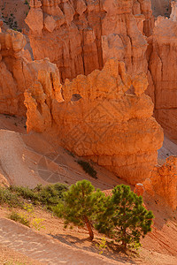 Bryce 峡谷岩石砂岩旅行红色公园高原地标悬崖石头编队图片