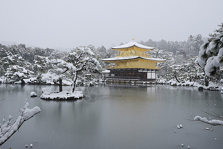 京角寺雪蓝色旅行金子寺庙地标花园旅游建筑学历史季节背景图片