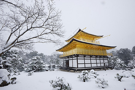 京角寺雪历史寺庙金子季节蓝色公园天空旅行天气花园图片