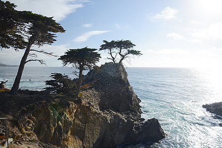 沿海一棵独树悬崖海岸风景海滩驾驶树林天空地平线海洋晴天图片