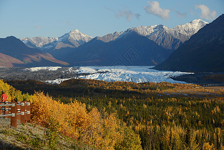 大西洋冰川荒野旅行白色蓝色森林公园天空风景图片