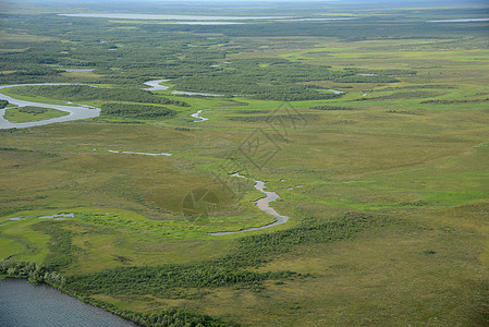 alaska 空中视图飞机旅行风景森林公园半岛荒野绿色图片