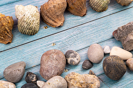 蓝色木质背景上的岩石和贝壳 将它们海洋化季节公寓框架游客旅游海洋主题照片海滩石头图片