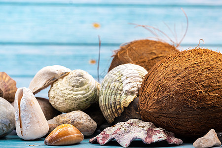 蓝色木质背景上的椰子岩石和贝壳 将它们海洋化照片主题配件框架旅游海滩旅行季节地方公寓图片