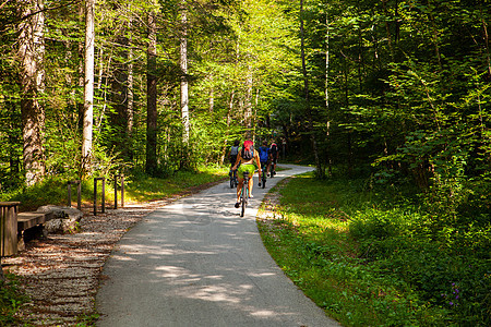 骑摩托车骑自行车的乡村骑车运动员山地车踪迹旅游树木娱乐冒险男人赛车手车道季节图片