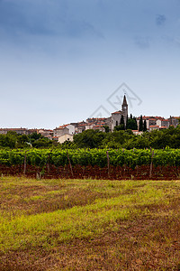 山谷伊斯特里亚的Bale 克罗地亚建筑学农业观光酒厂风景城堡房屋旅行葡萄园建筑图片