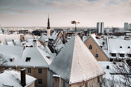 位于波罗的海附近的古老城镇塔林 斯诺覆盖的城市的冬季景点 爱沙尼亚古董建筑学房子国家窗户文化街道旅游首都教会图片