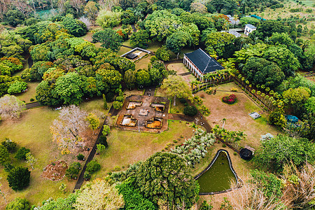 毛里求斯天堂岛上的植物园 印度洋上的毛里求斯岛先生百合花园热带叶子旅行荷花反射旅游森林图片