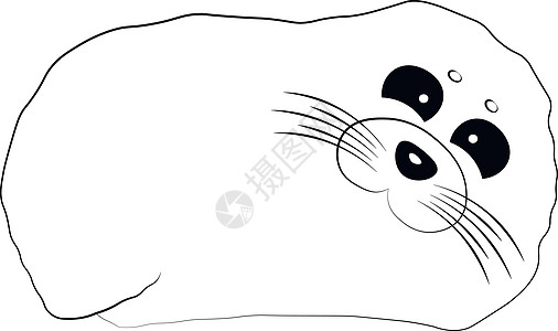 可爱的卡通海豹 绘制黑白插图图片