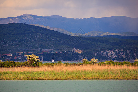 Isonzo河自然保留区旅游帆船自然保护区湿地沼泽植被图片