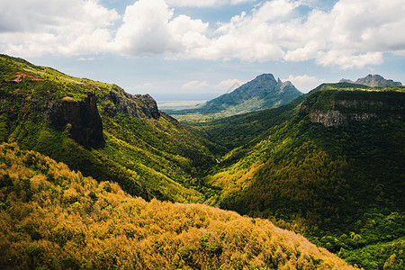毛里求斯岛峡谷的山景 毛里求斯丛林的绿山森林地标吸引力岩石全景假期爬坡生态叶子墙纸图片