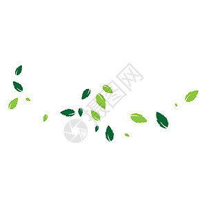 叶生态自然元素矢量 ico生活美丽热带标识叶子植物插图装饰品收藏公司背景图片