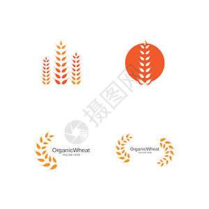 小麦标志模板 vecto横幅玉米麸质粮食面包金子市场农场营养标签图片
