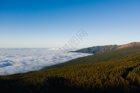 特内里费岛泰德山下的云海 特内里费岛云层的鸟瞰图 西班牙加那利群岛国家风景公园森林植被天空旅行远足晴天环境图片