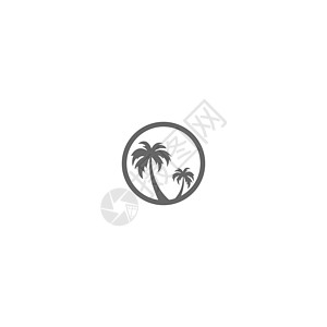 棕榈滩维生素标志概念饮食水果叶子派对太阳排毒假期椰子蓝色天堂图片