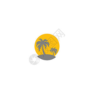 棕榈滩维生素标志概念水果营养派对橙子叶子饮食椰子菠萝太阳棕榈图片