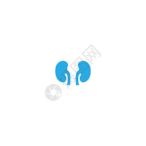 泌尿外科标志肾脏标志图标健康艺术科学泌尿科标识家庭医生插图器官帮助静脉图片