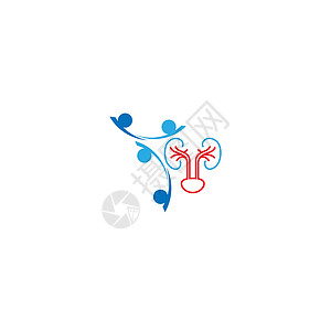 泌尿外科标志肾脏标志图标健康疾病药品诊所医生医院艺术家庭插图身体泌尿科图片