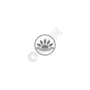 太阳花标志图标概念叶子摄影工作室创造力绿色标识艺术圆圈金融商业图片